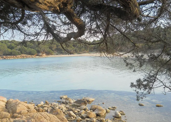 La Quercia Della Gallura
