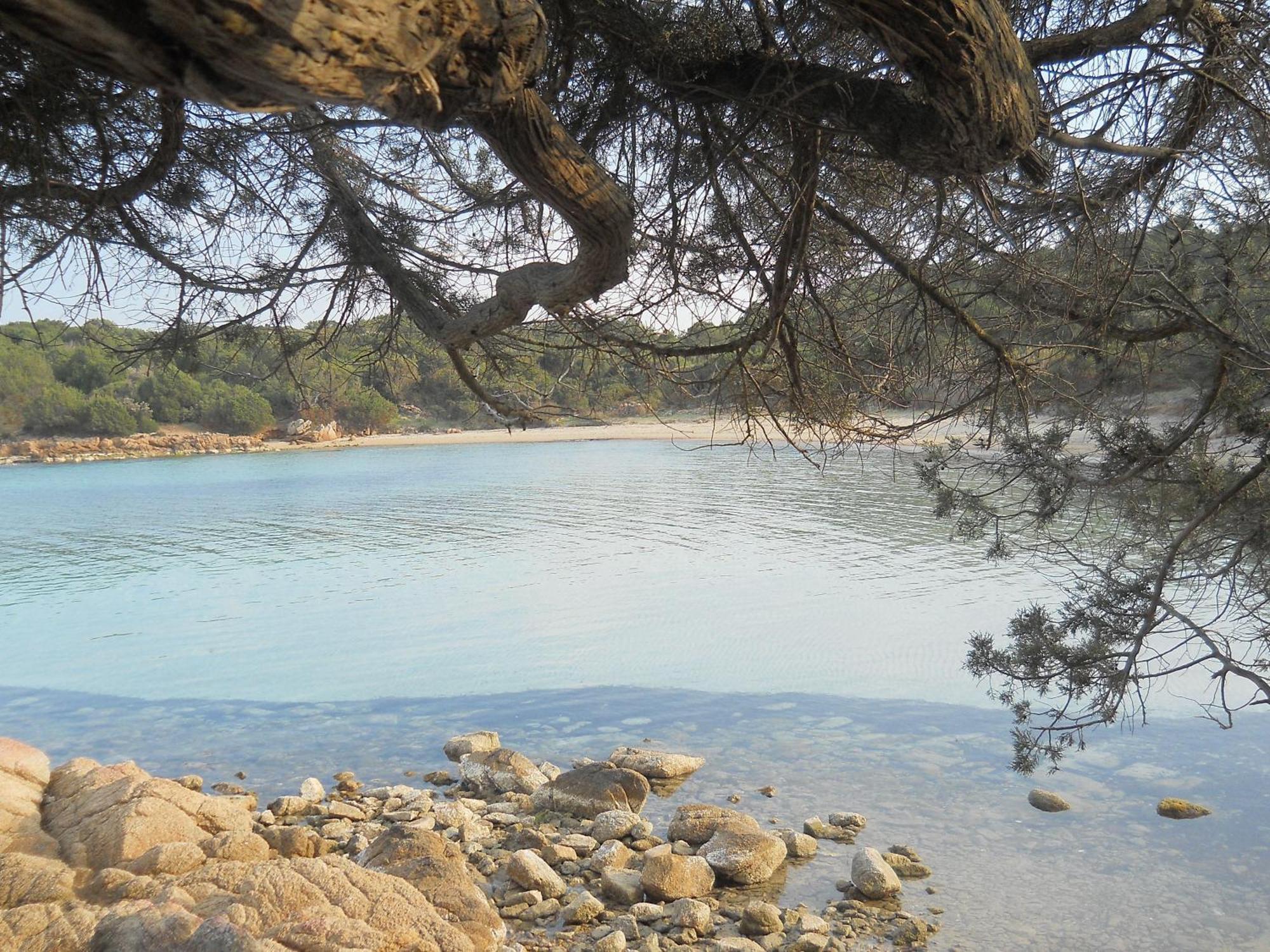 Landhaus La Quercia Della Gallura *